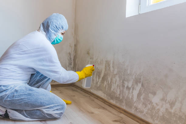 Hvac And Air Duct Mold Remediation inspection of HVAC system in Glen Cove