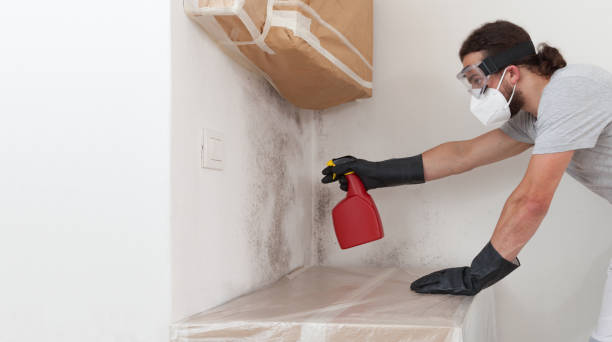Attic Mold Remediation treatment on roof deck in Glen Cove